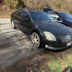 2006 Nissan Maxima