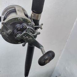 Daiwa SeaLine  High Speed Trolling Fishing Reel 

