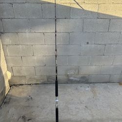 penn senator 3160RS 6/0 Fishing Rod