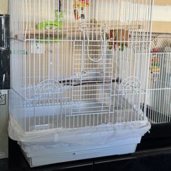 Birds Cage