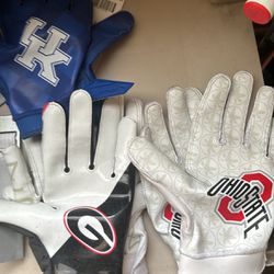 Kentucky, Ohio st, and Georgia Gloves 