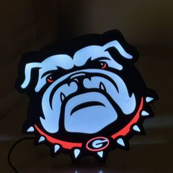 UGA Light Box