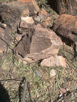 12”-24” Size Large Rocks or Boulders Guaranteed To Be Over One Million Years Old