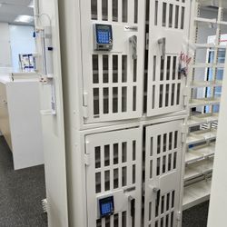 Pharmacy Safe 2 Door