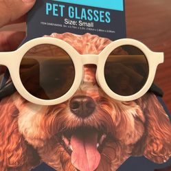 Pet Glasses