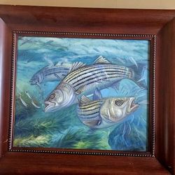 stripe bass chasing bait original painting 