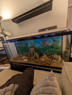 100 gal Fish Tank