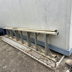 Ladder 8 Ft