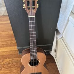 Kala Ukulele With Case 