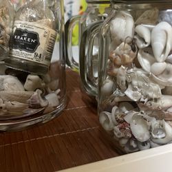 Sand and shells collection