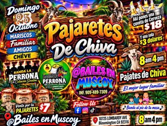 PAJARTES TODOS LOS DOMINGOS INFOEMES (contact info removed)
