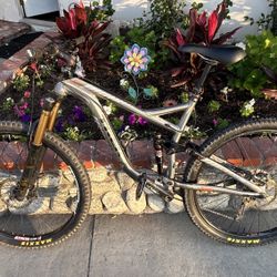 Trek Remedy 7