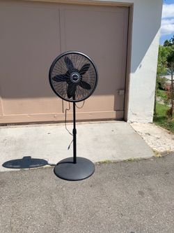Fan
