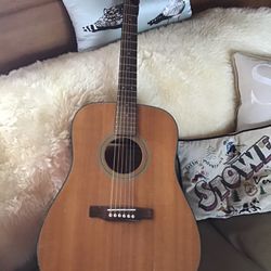 Walden Acoustic Guitar