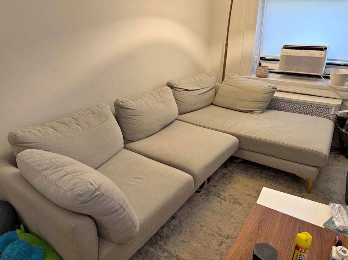 Adam’s Chaise Sectional Sofa