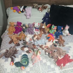 For Beanie Collectors