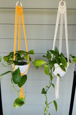 Macrame Plant Hanger With Plant