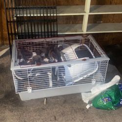 Rabbit Enclosure, Cage, Food, Litter box And Treats