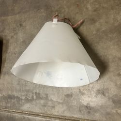 Dog Cone Large