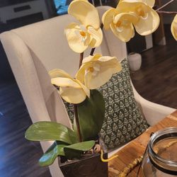 Orchid Plant, Arrificial