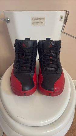 Air Jordan 12 Flu Games