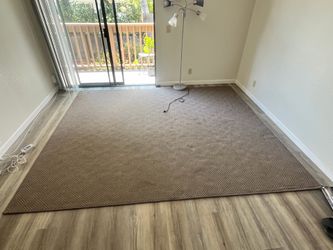 Large Area Rug