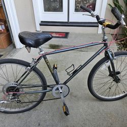 Schwinn Cruiser