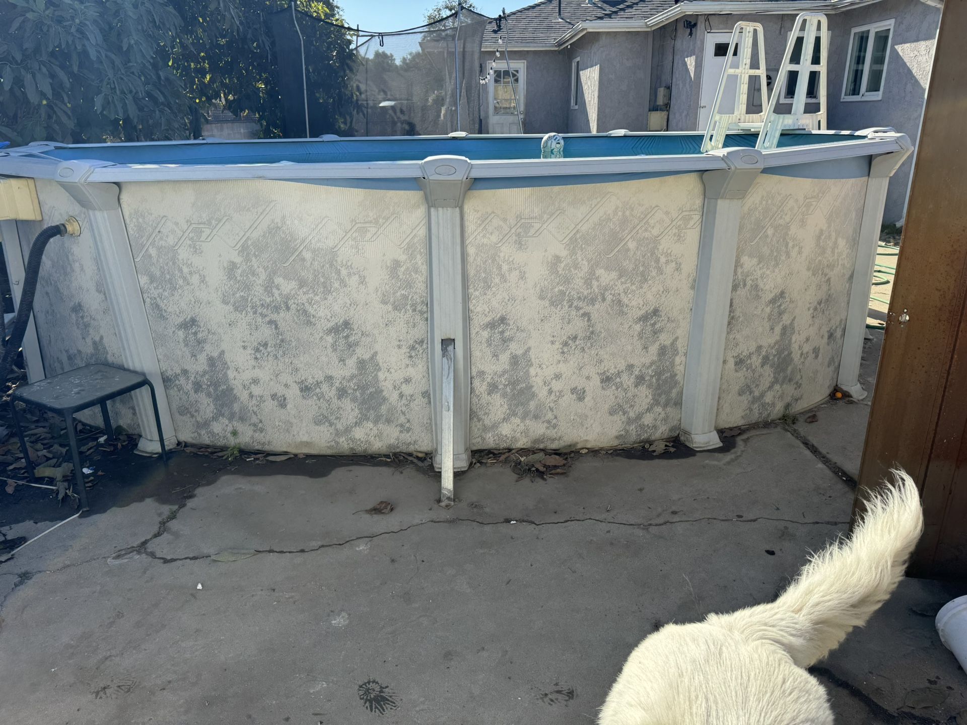 Above Ground Pool