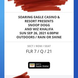 Snoop Dogg/Wiz Khalifa Concert Tickets Thumbnail