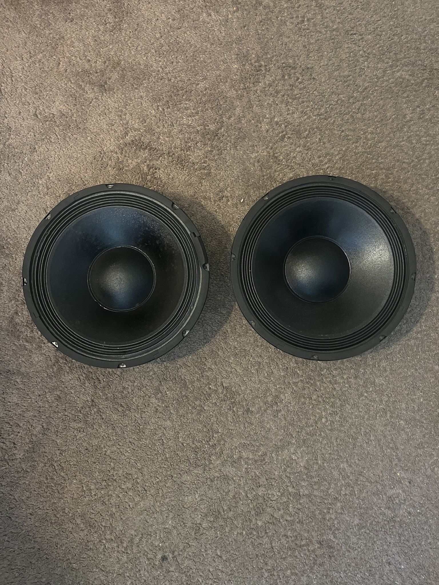 Reliable 12-inch Audio Subwoofer Pair — Good Condition