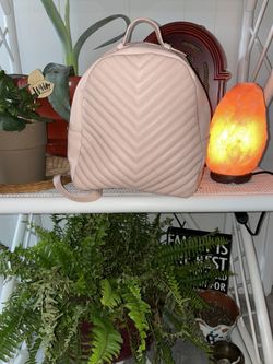 Beautiful Pink Steve Madden Backpack