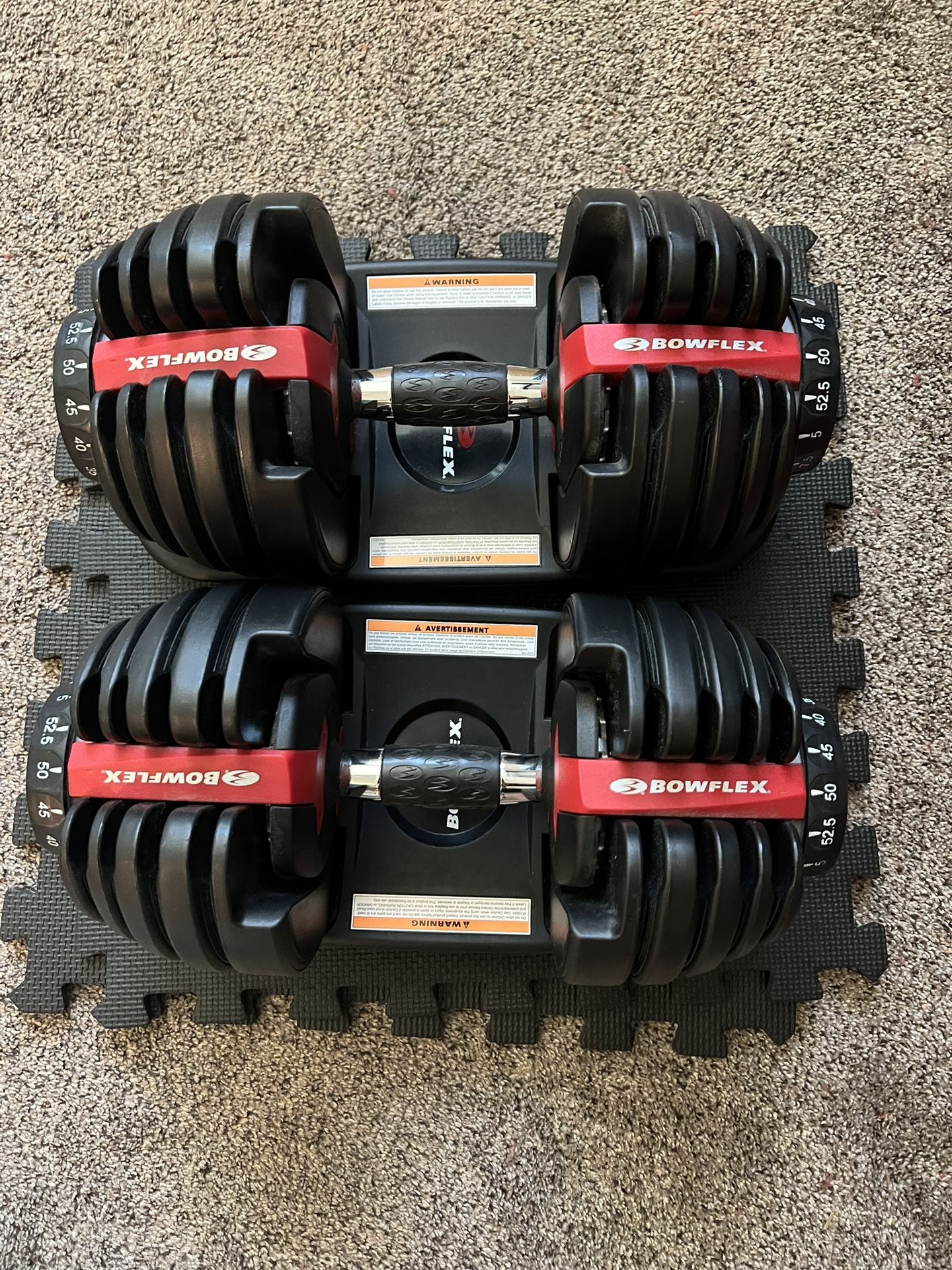 Bowflex Dumbbells