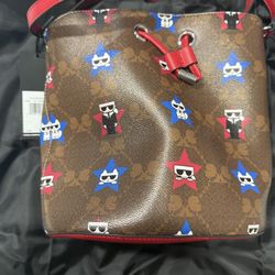 Karl lagerfeld Bucket Bag 