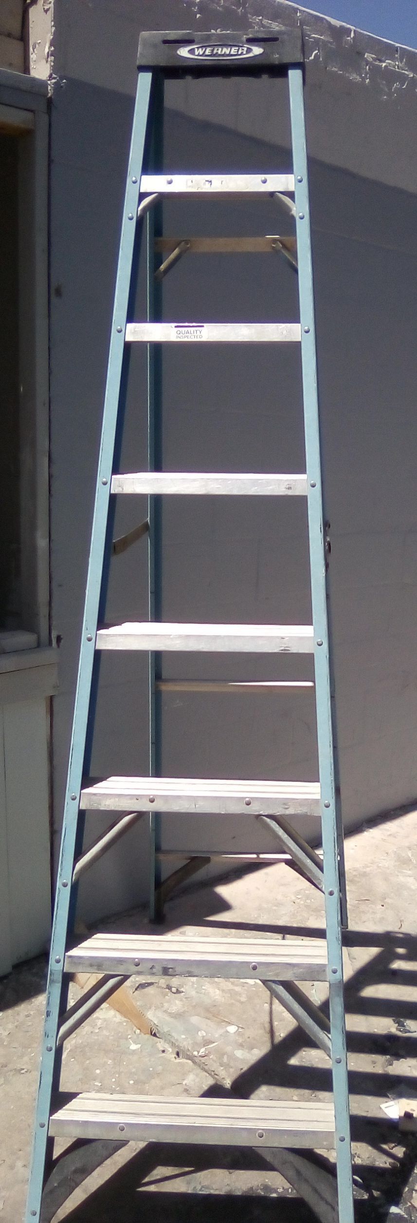 Werner Ladder 8ft