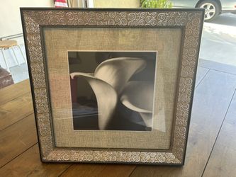 Calla Lily Framed Photo Black And White