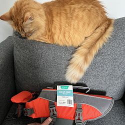 Small Dog Life Jacket - Cat Not Included 