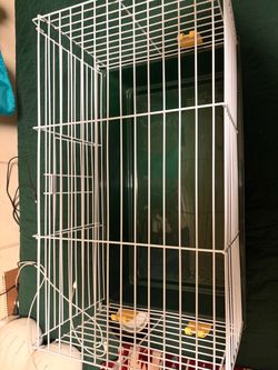 Animal cage