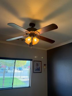 Fan