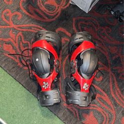 Asterisk Cell Knee Braces L/XL / Pro Circuit Backpack 