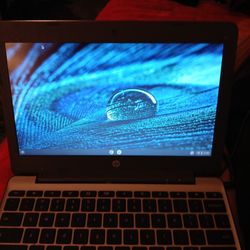 HP Chromebook 