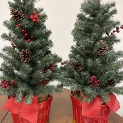 Set Of Christmas Trees In Red Ceramic Pots