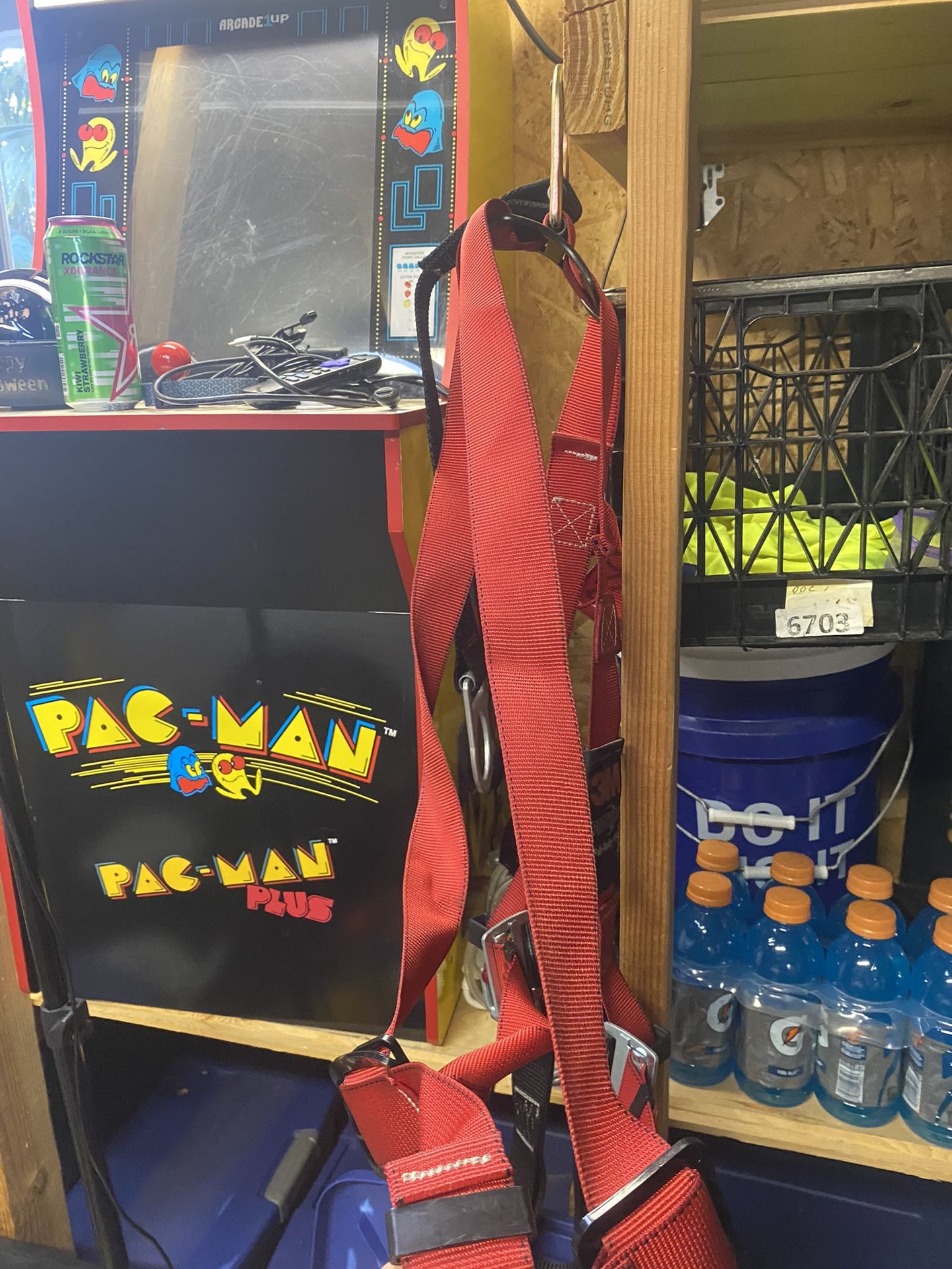 Safety Harness
