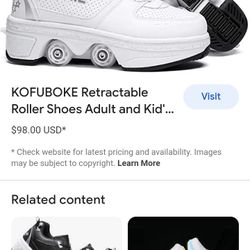 Retractable Skates