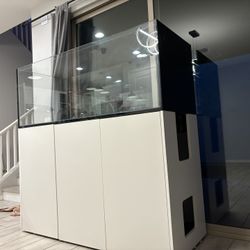 Red Sea Reefer Peninsula 650 (Tank, Reef, Fish) + SUMP