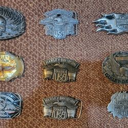 Harley-Davidson Buckel Lot!!
