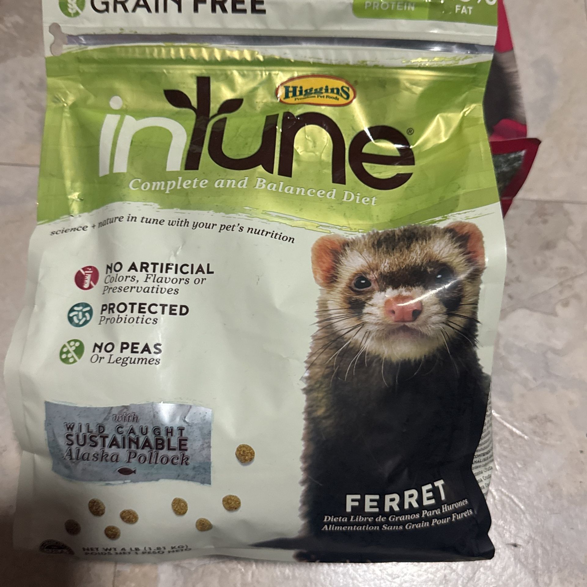 Free Ferret Food