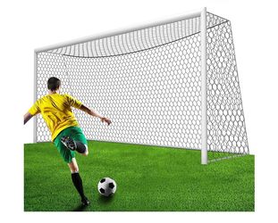Pro soccer net