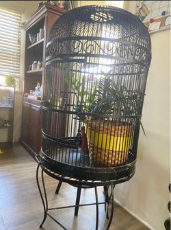 Bird cage