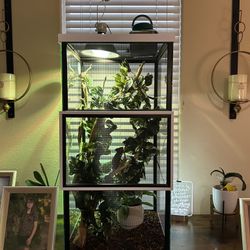 Chameleon Cage Complete Setup