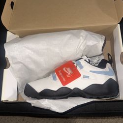 Nike SB Darwin Low